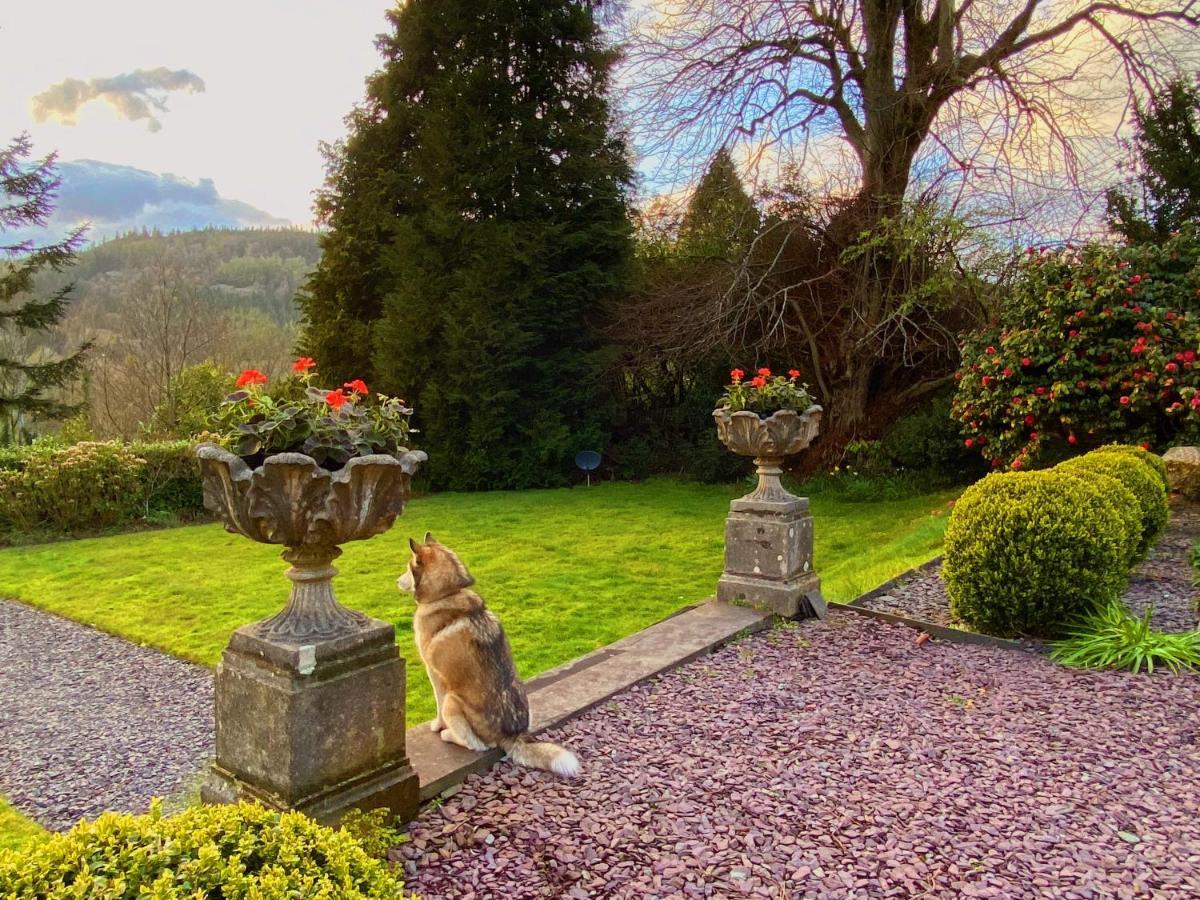 Tyn Y Fron 6 Bedroom House In Betws-Y-Coed Snowdonia 外观 照片