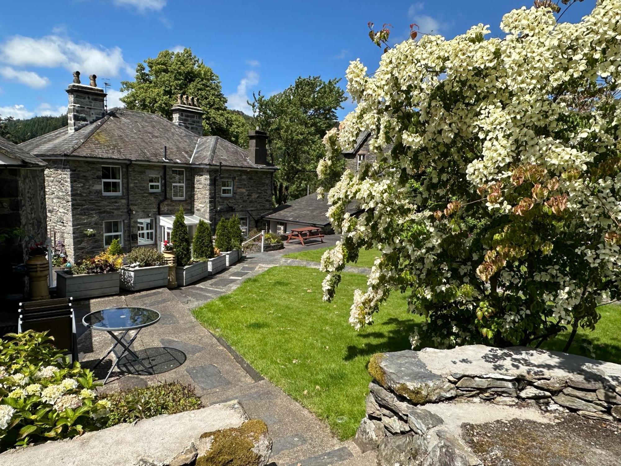 Tyn Y Fron 6 Bedroom House In Betws-Y-Coed Snowdonia 外观 照片