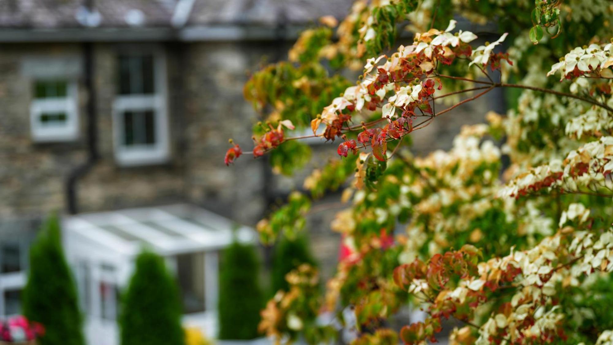 Tyn Y Fron 6 Bedroom House In Betws-Y-Coed Snowdonia 外观 照片