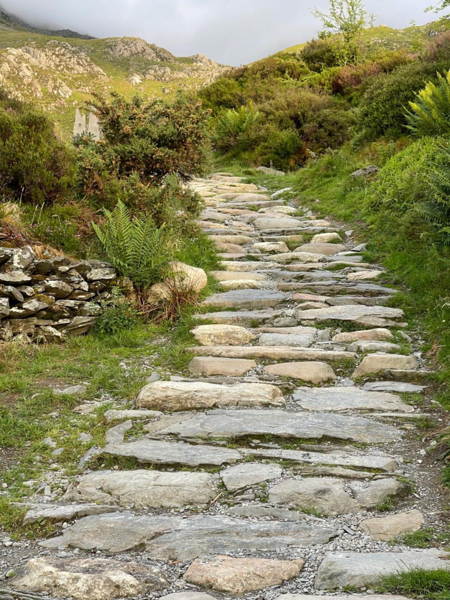 Tyn Y Fron 6 Bedroom House In Betws-Y-Coed Snowdonia 外观 照片